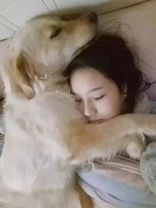 狗又不會說話，你怎麼知道它愛你？ 萌趣萌寵 第1张