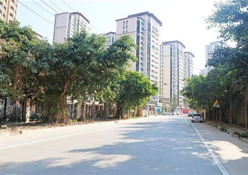 【整治环境 扮靓家园】用心用力!双阳街道在人居环境整治上下功夫