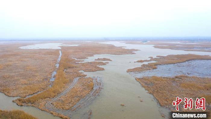 航拍世界自然遗产黄海湿地