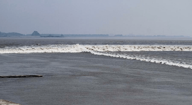 和地球自转的离心作用,加上杭州湾喇叭口的特殊地形所造成的特大涌潮