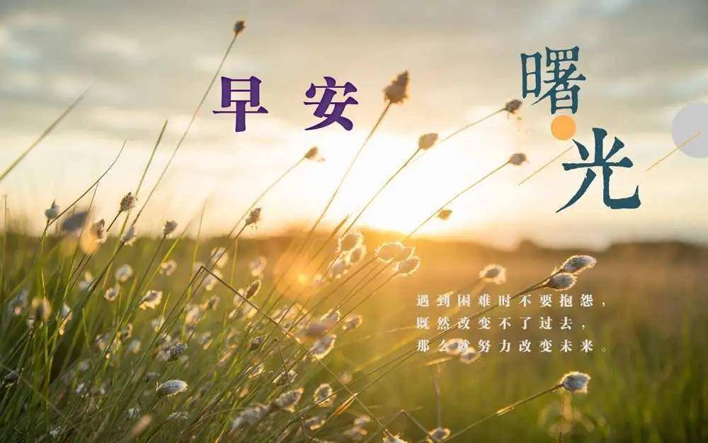 最成功的人不一定是最努力的 07954aa7a7ad490da6b5accc249f7470.jpeg