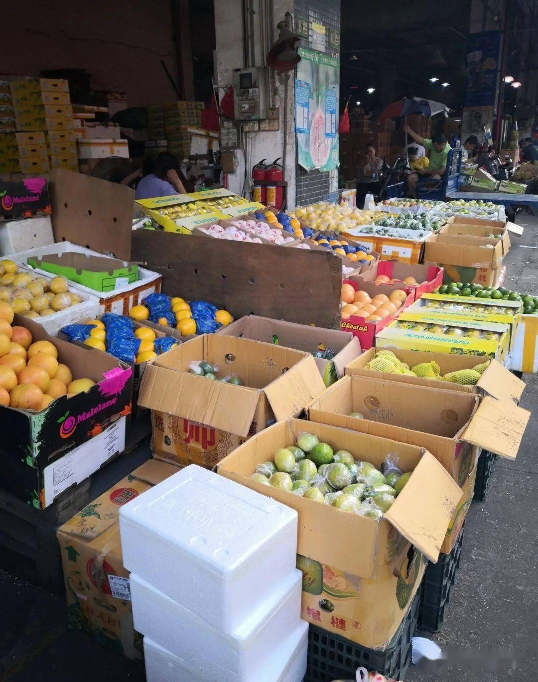 做水果生意必须要知道的5大水果一级批发市场67