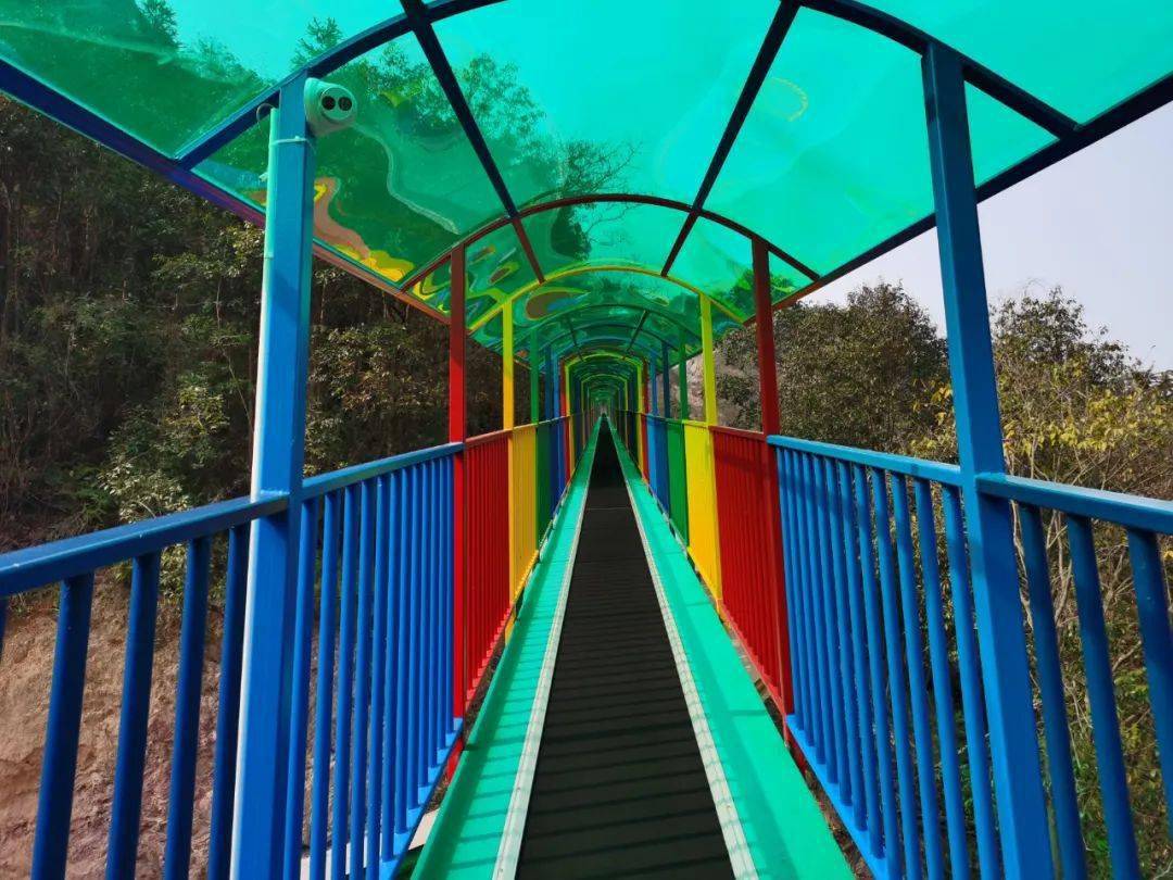 三门情人谷新添萌宠乐园,飞天魔毯,丛林穿越,跑马场,春节小长假就来