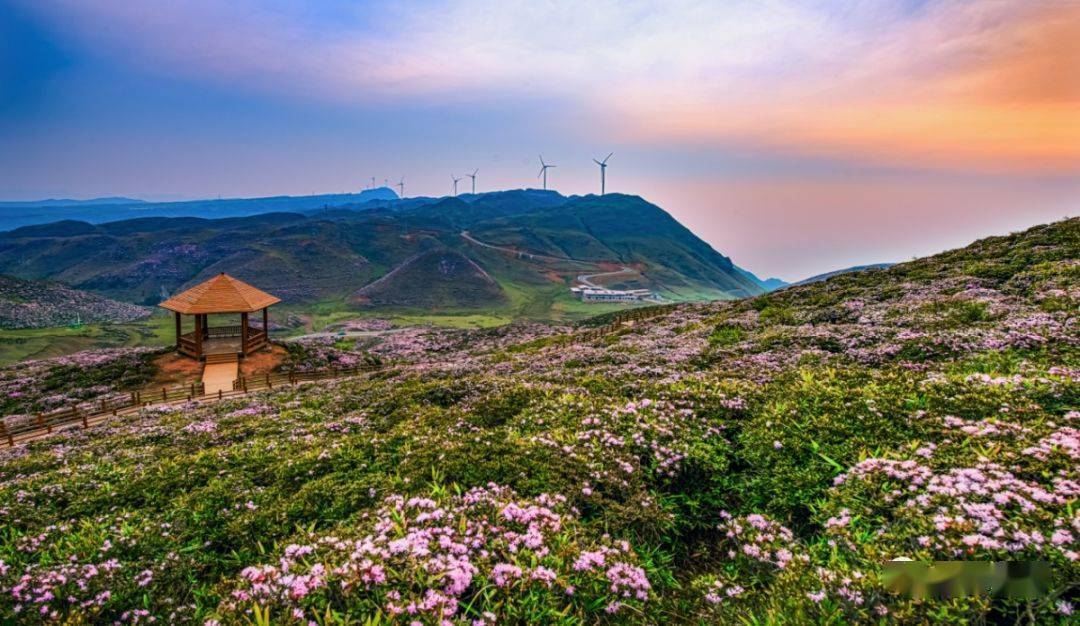 【盘州旅游】盘州春天的气息