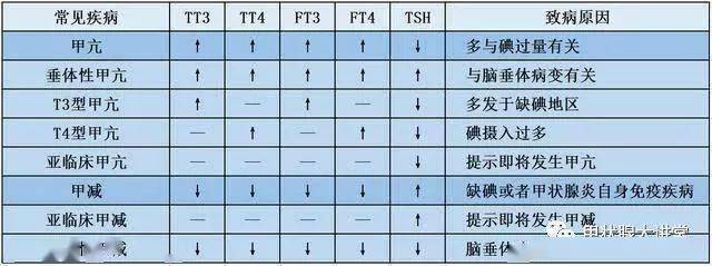 甲状腺功能检查八项指标临床意义