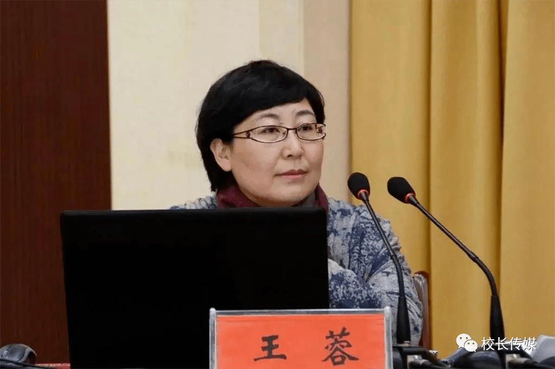 王蓉,北京大学教育学院教授