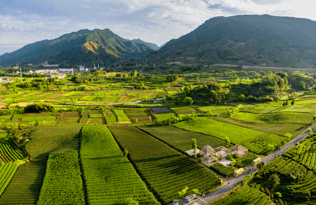 奏响高质量绿色发展丰收歌 ——2020年丽水农业农村工作续写辉煌