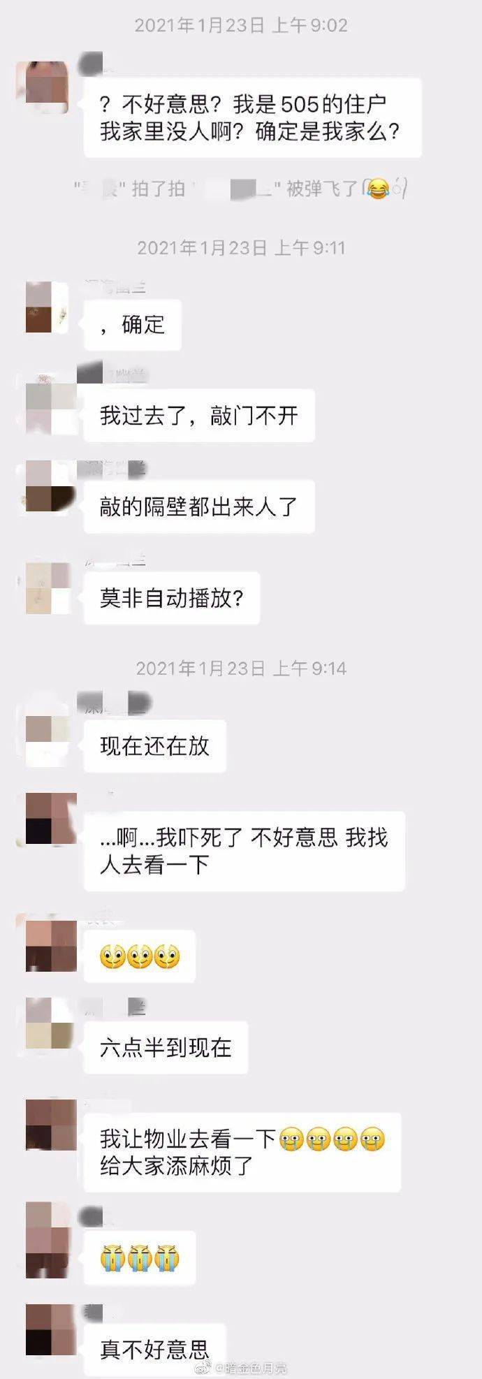 鄰居憤怒投訴噪音，發現是貓後：「那沒事了，小貓咪能有什麼壞心思呢！」 萌趣萌寵 第3张