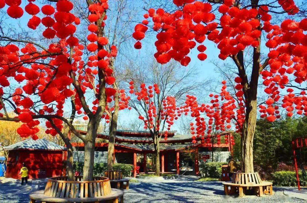 南医小知识 | 河南过年的这些习俗你知道吗-搜狐大视野-搜狐新闻