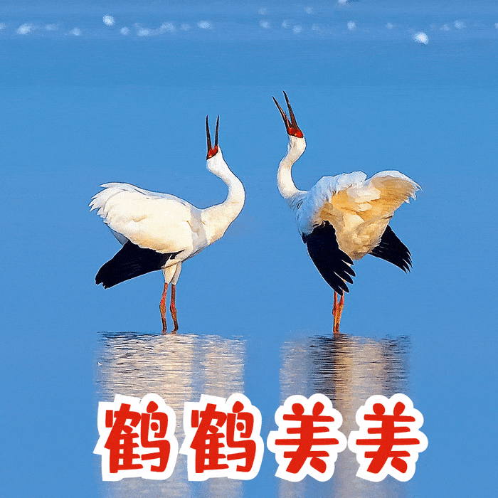 恭鹤新禧这才是江西人的贺岁表情包