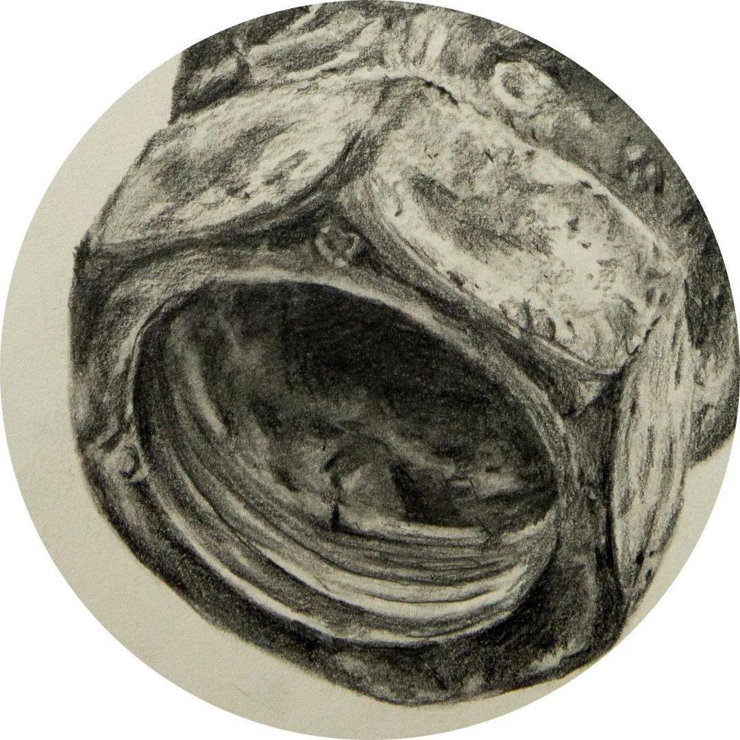 寒假班作品集下精微素描是永远的心头爱