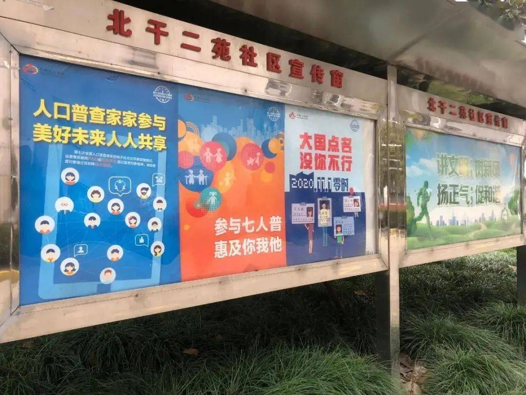 社区人口普查主题党日活动