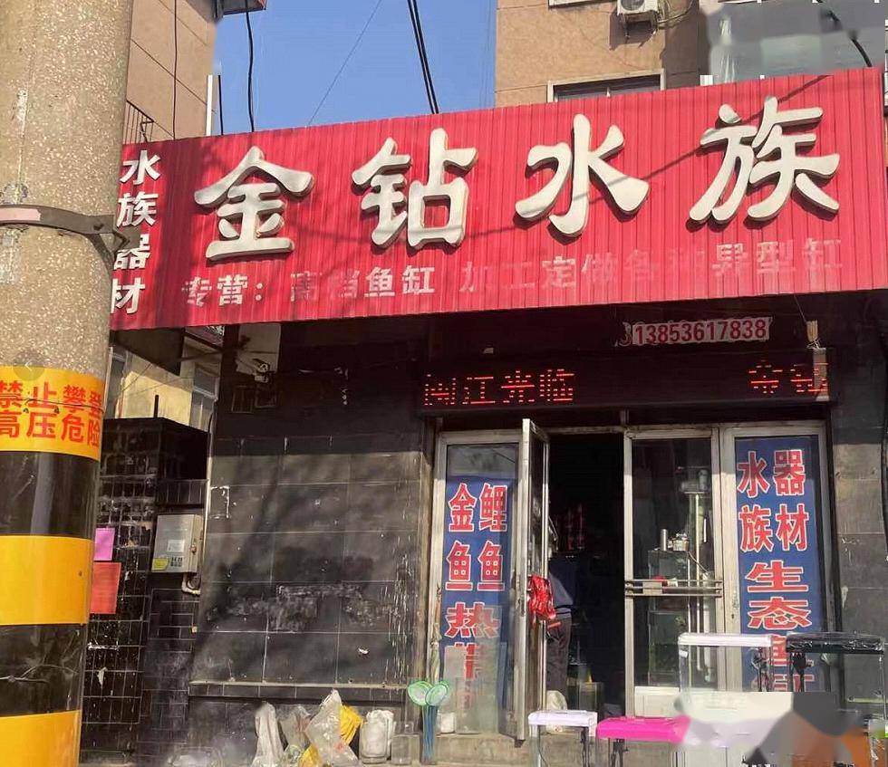 青州这个卖鱼的坑人买的鱼都死了