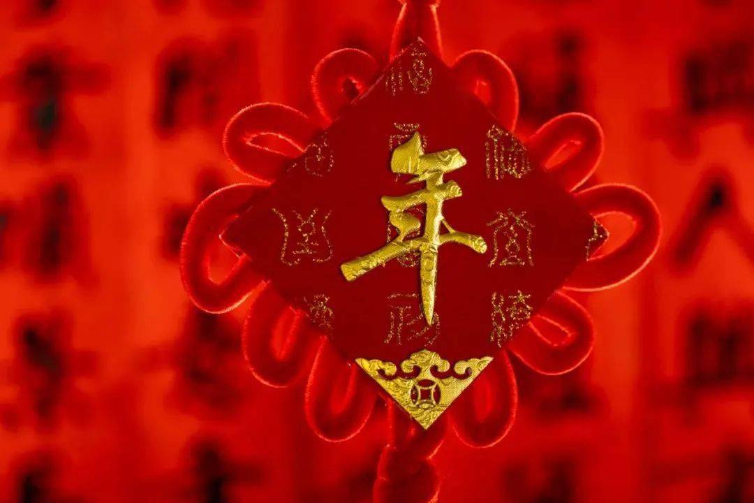 【哈新区•实验佳节】 除夕：日丽风和秀出河山似锦 年丰物阜迎来大地皆春