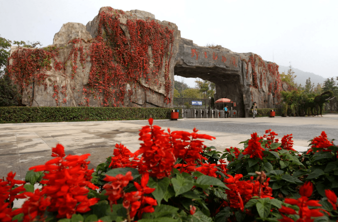 县(市)区 10条特色一日游线路 01  乐趣肥东一日游  四顶山森林公园 0