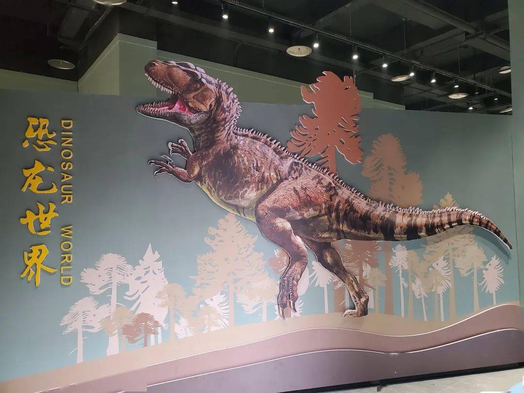 收藏的重庆本土的恐龙化石等古生物标本为主,包括李氏蜀龙,甘氏四川龙