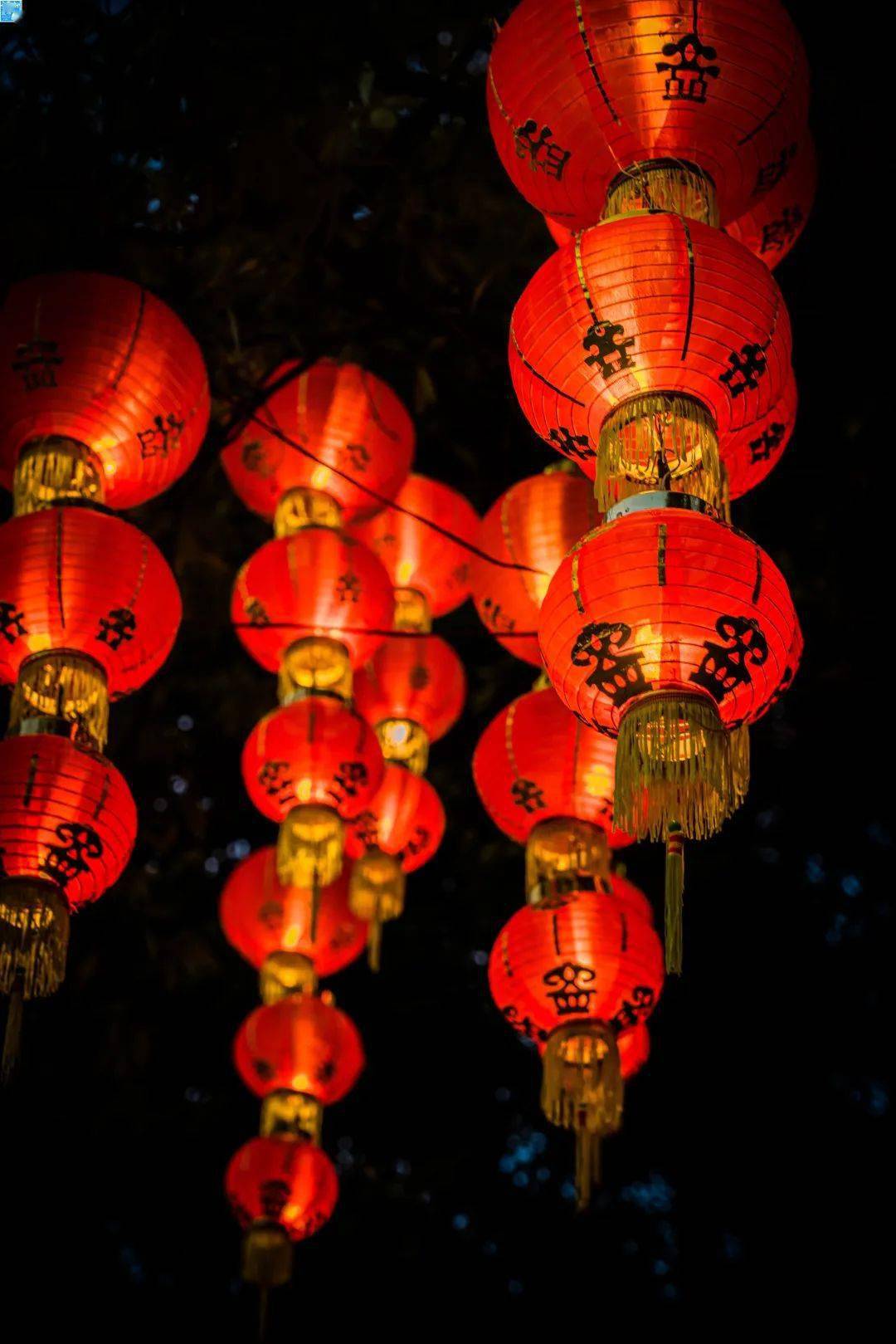 坦洲繁花似锦迎新春张灯结彩年味浓