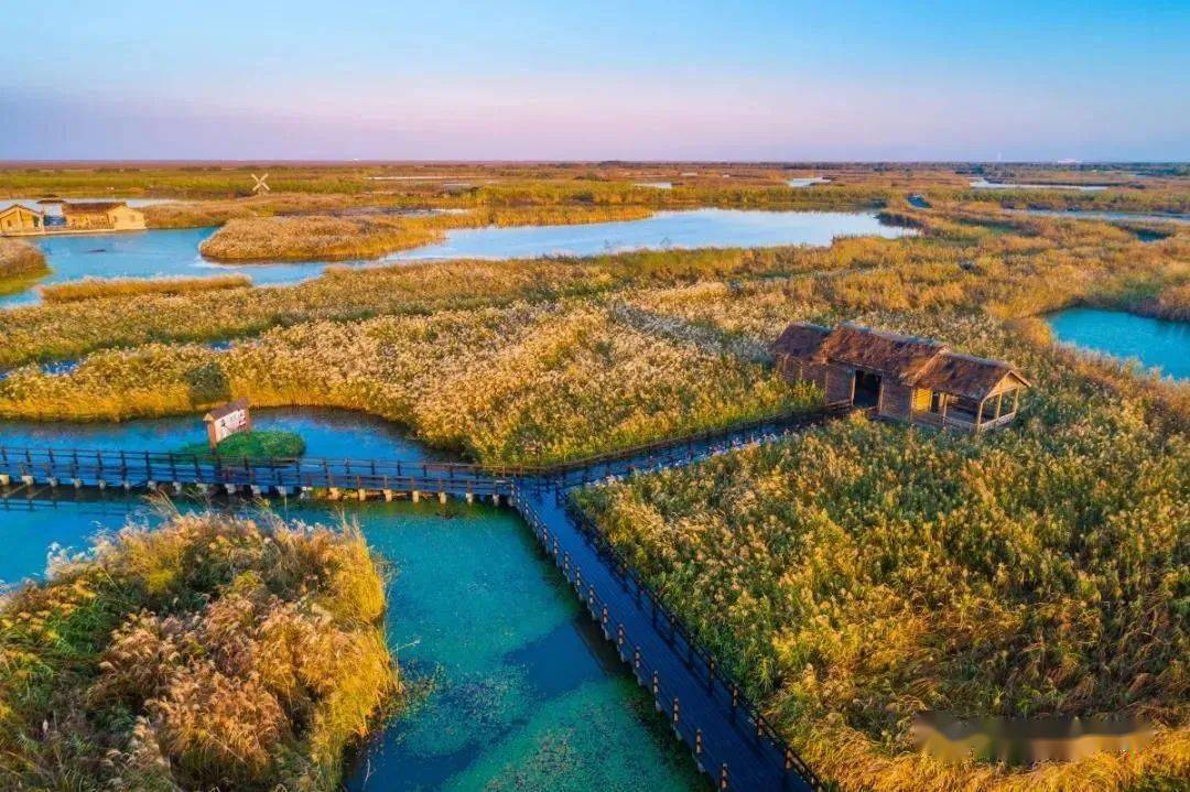自驾门票丨499元成人票699元亲子票杭州湾国家湿地公园观鸟赏芦苇