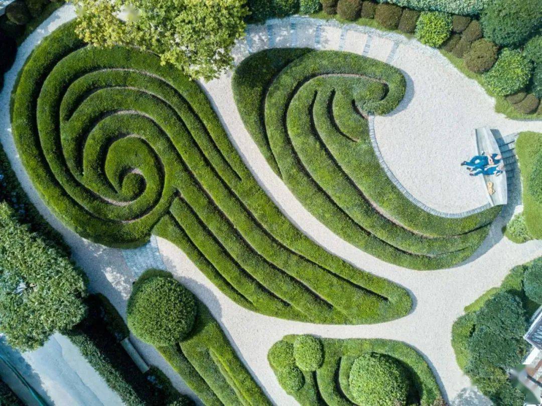 如波浪起伏(这里也有山毛榉和紫杉制成的经典树篱)这些树篱不仅可以