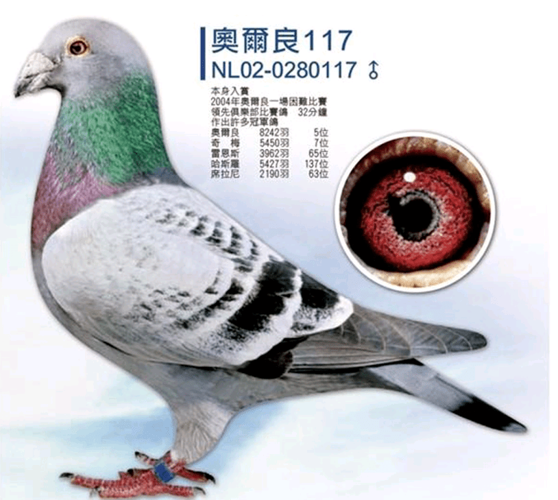 c5b95f728d3c49049c19d9474673fbd9.png