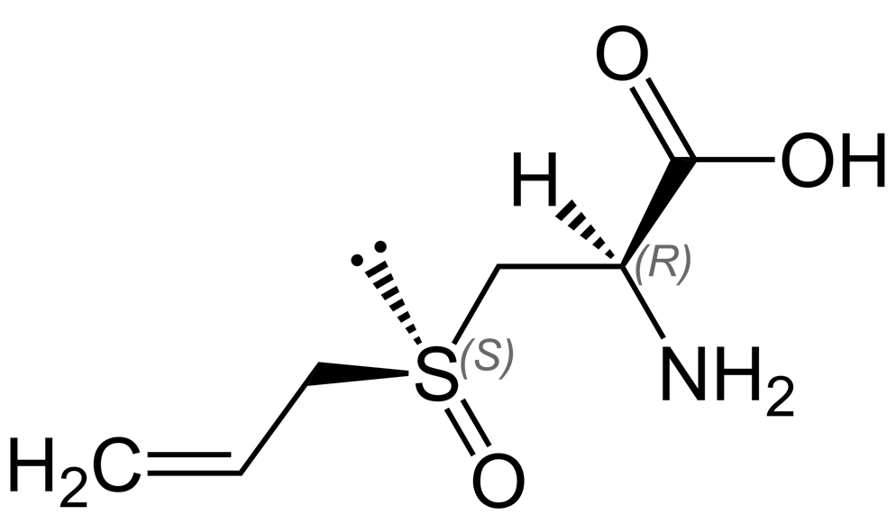 生物素结构图片