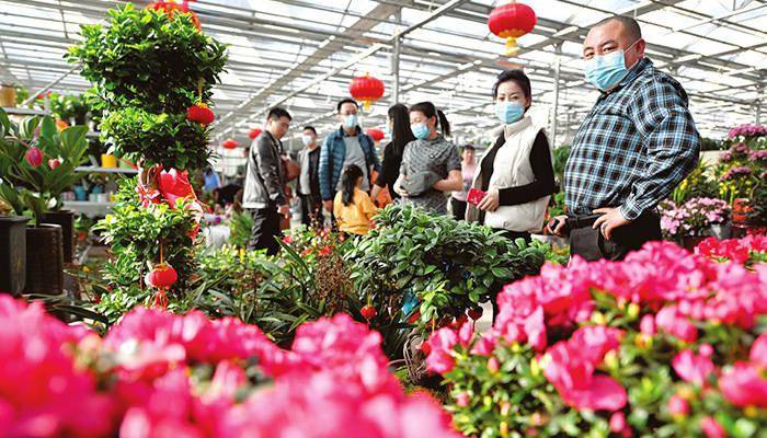 记者李兆民摄2月10日,太原市杨家峪花卉市场内春意盎然.