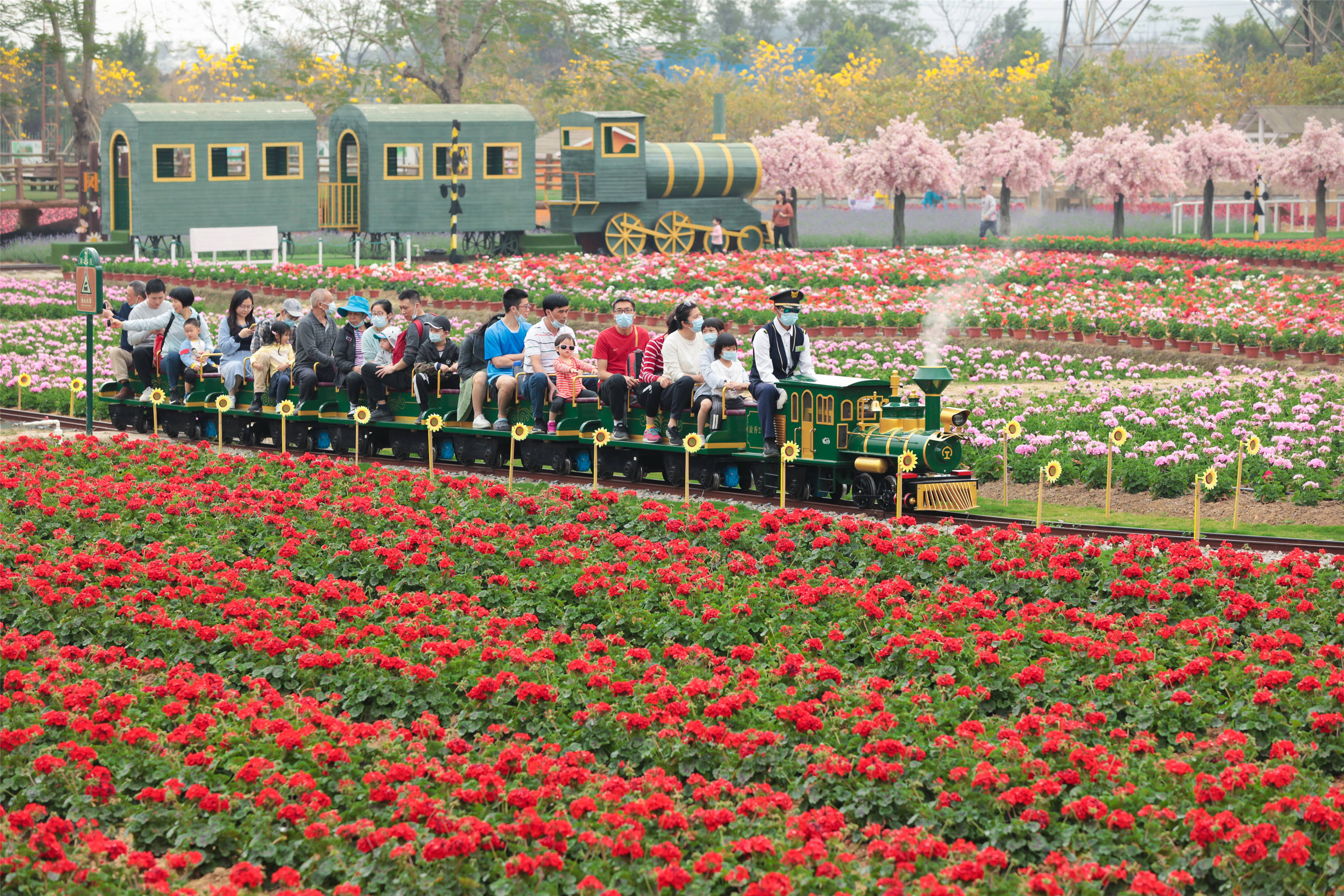 春节假期前3日，广东150家重点景区共接待游客433.4万人次