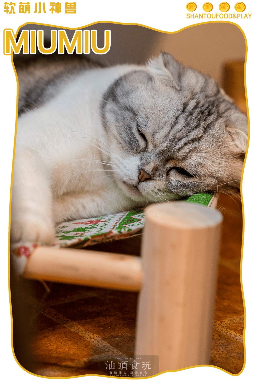 汕头shou家撸羊驼猫咖 牛年撸 神兽 走起 柠檬 汕头shou家撸羊驼猫咖 牛年撸 神兽 走起 柠檬