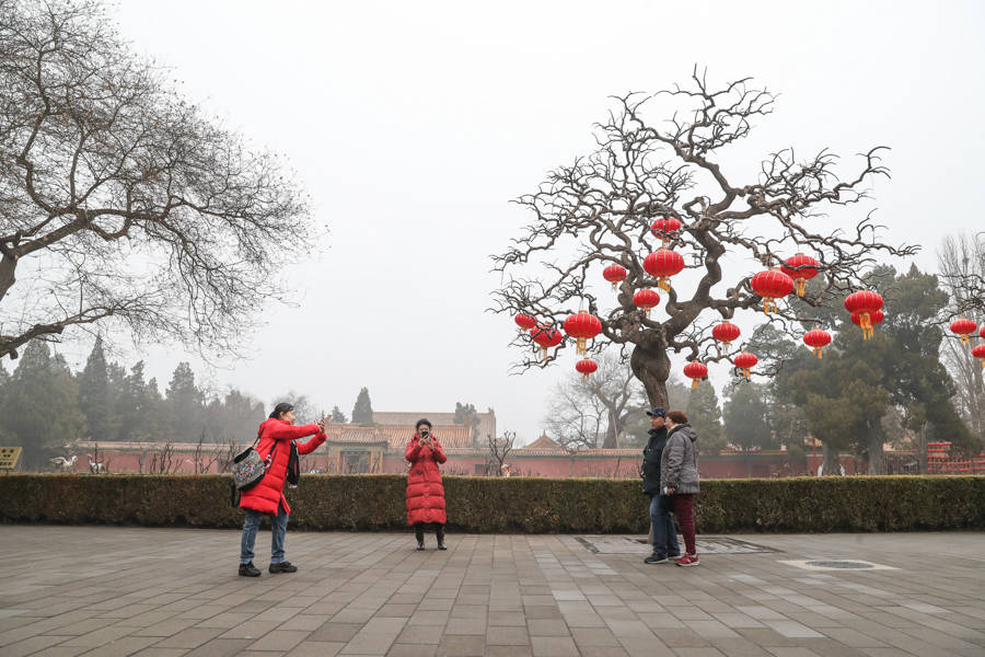 图集丨北京市属公园免费开放 市民游园年味儿浓