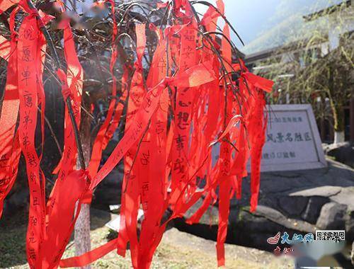 宜春报道大年初一开门红明月山景区活动精彩不断人气爆棚年味十足