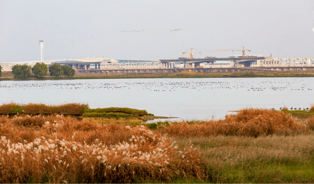 府河沿岸生活圈震撼来袭