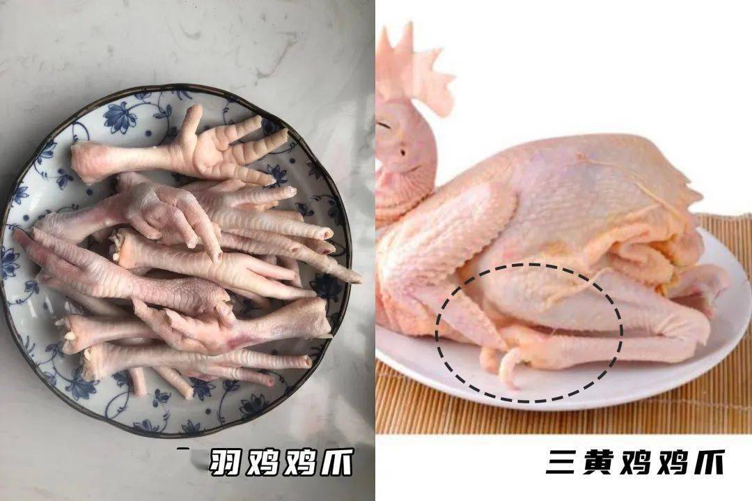 南方三黄鸡鸡爪小,肉少,而且需要的脱骨时间长,没有耐心或者对肉量有