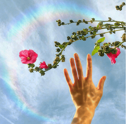 如何不再讨好别人 26ce3eb31a3f485fa8baef11a764d221.png