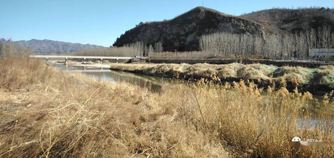 有收获张百湾镇山前村一小游