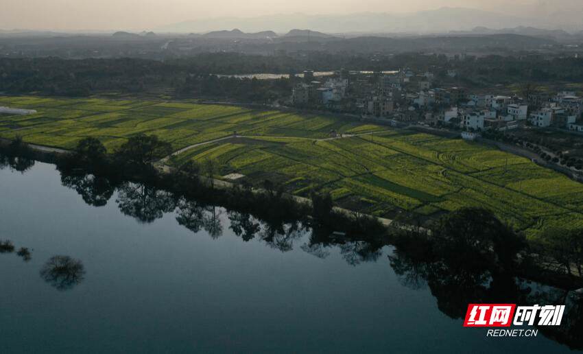 道县：油菜花开引客来