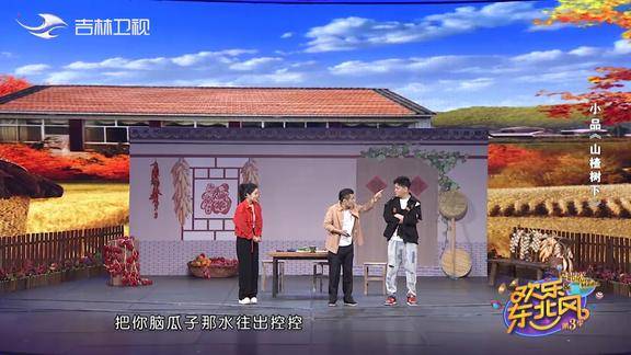 崔大笨干啥练倒立丈人把你脑瓜子那水往外控控欢乐东北风