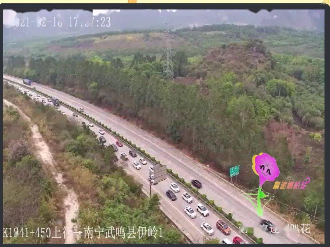 南宁大化人口_南宁人口分布图(3)