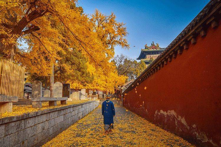 中国最美皇家寺庙被烧了4次依旧名声赫赫独领风骚1500年