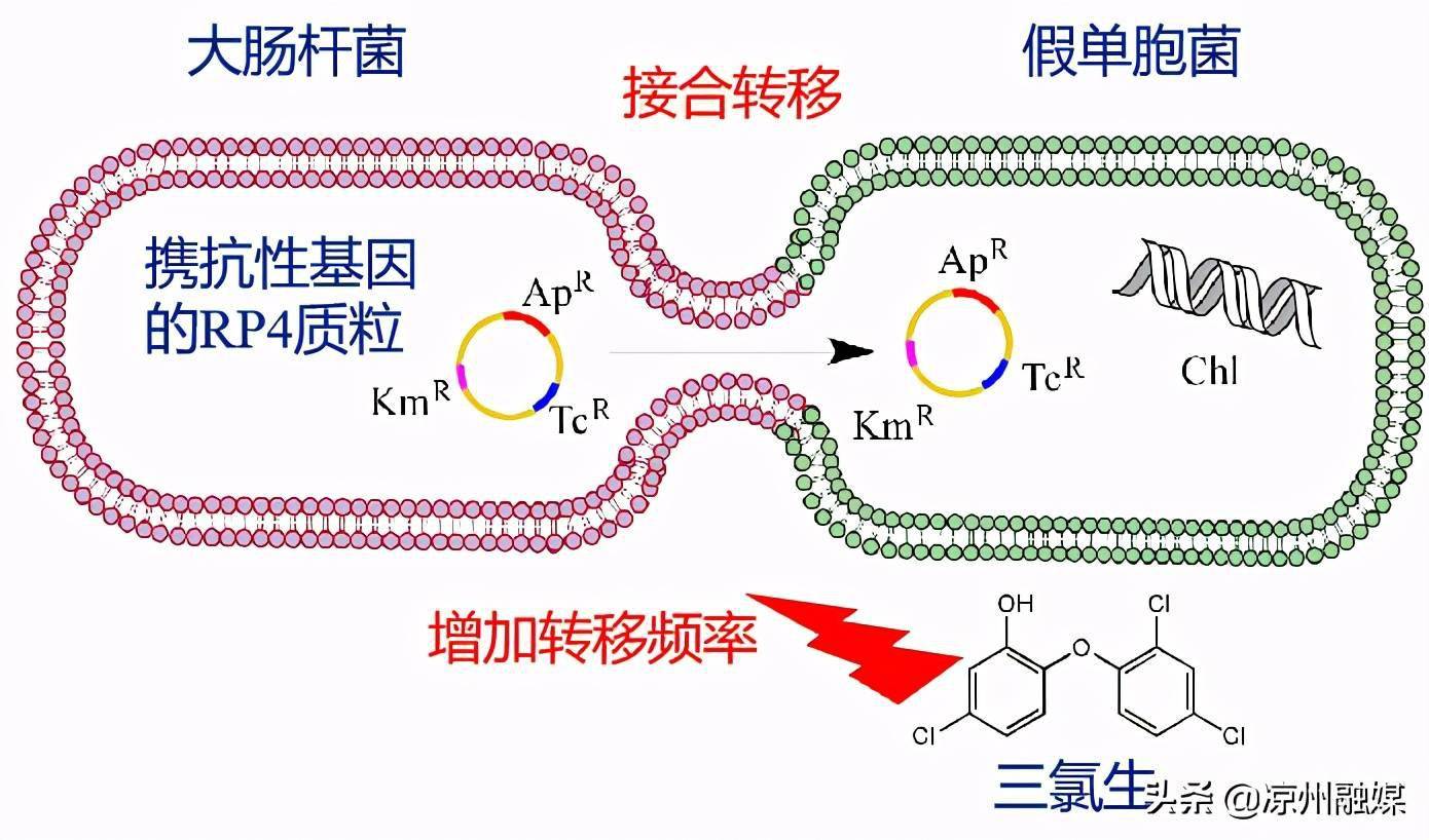 science新冠期间过度消毒可能会加速超级细菌的传播