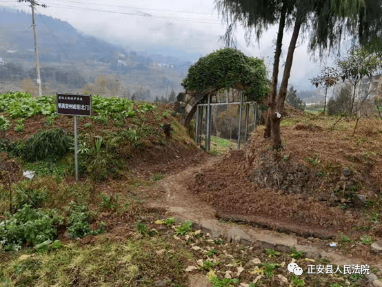 道真旧城镇因保护明真安州城垣文物不力镇政府被诉至法庭