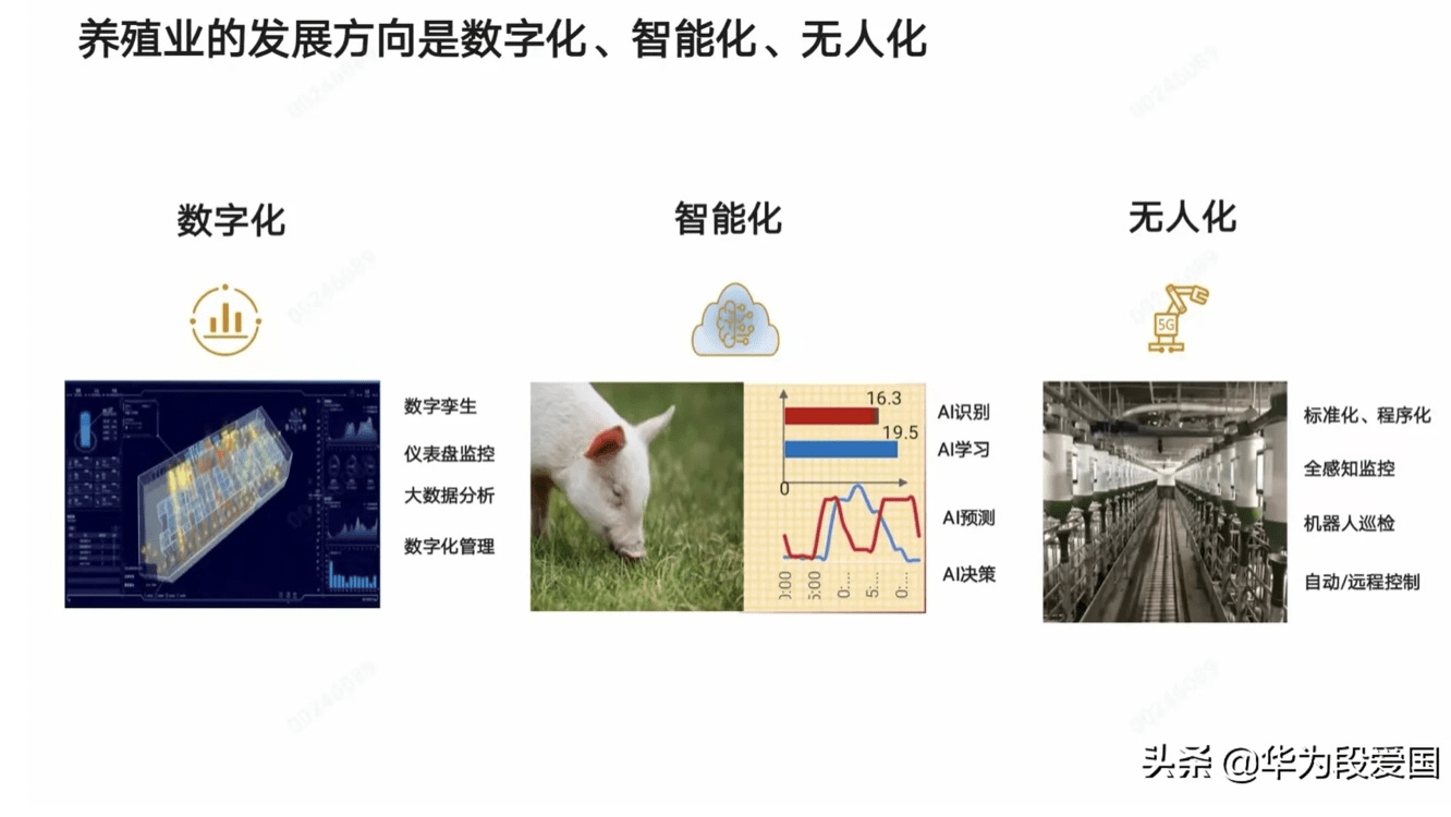 智能化|华为推“智慧养猪”，“南泥湾”计划浮出水面，任正非：华为不靠手机也能活