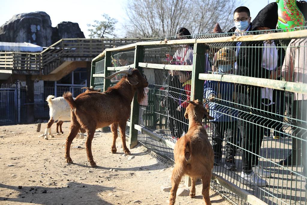 西安:探访世博园萌宠馆 动物萌态十足
