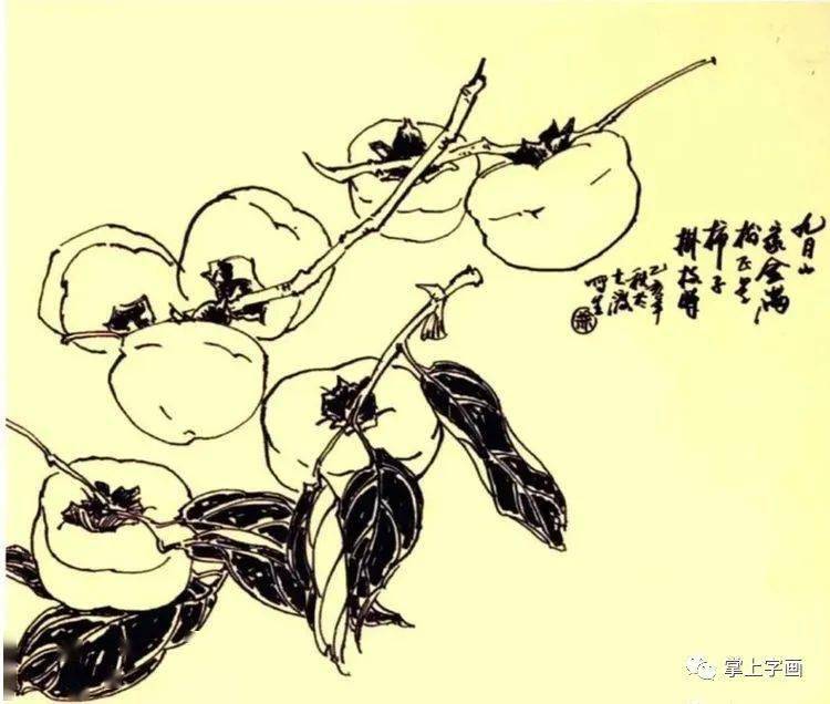 图文教程柿子的画法一学就会