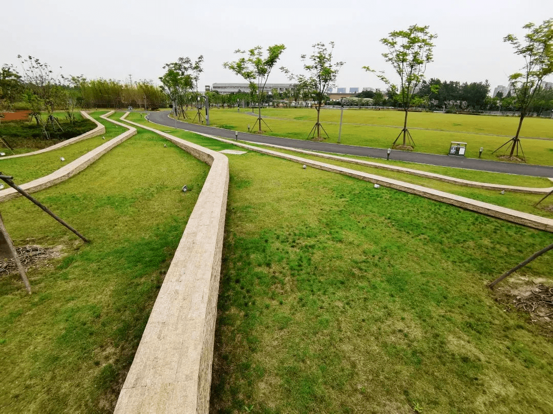 探索好看好玩长宁苏州河西段的主题公园你去过几个