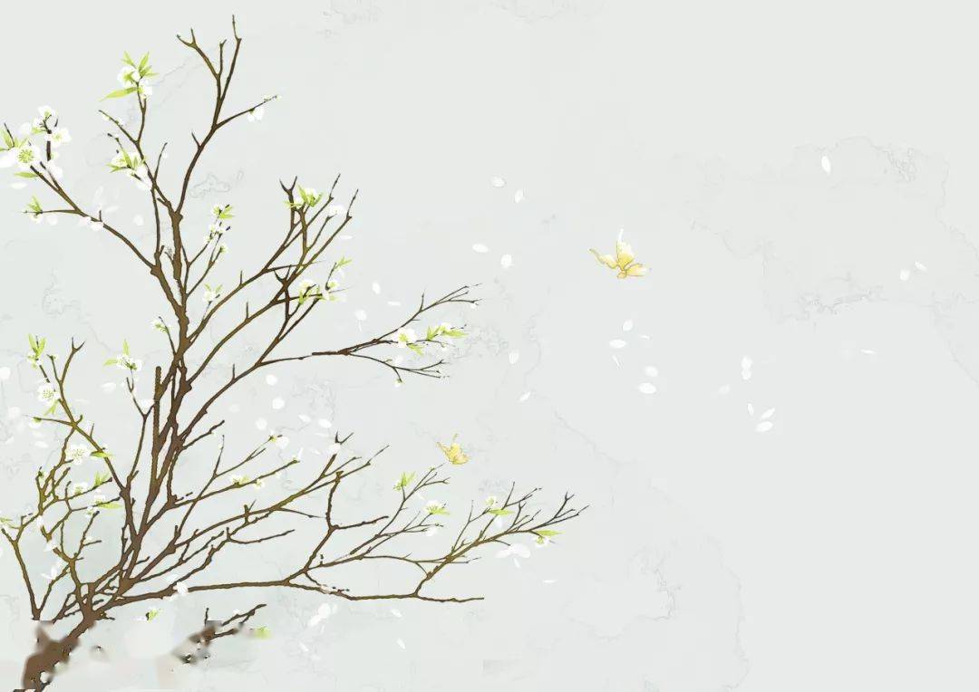 花卉的雅称 别称 太美了 别名