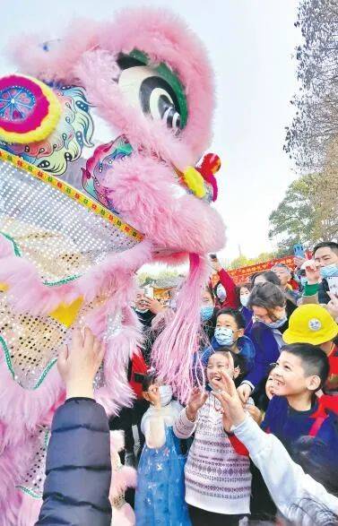 赏花游园、民宿爆满，春节长假武汉“乡村游”火了