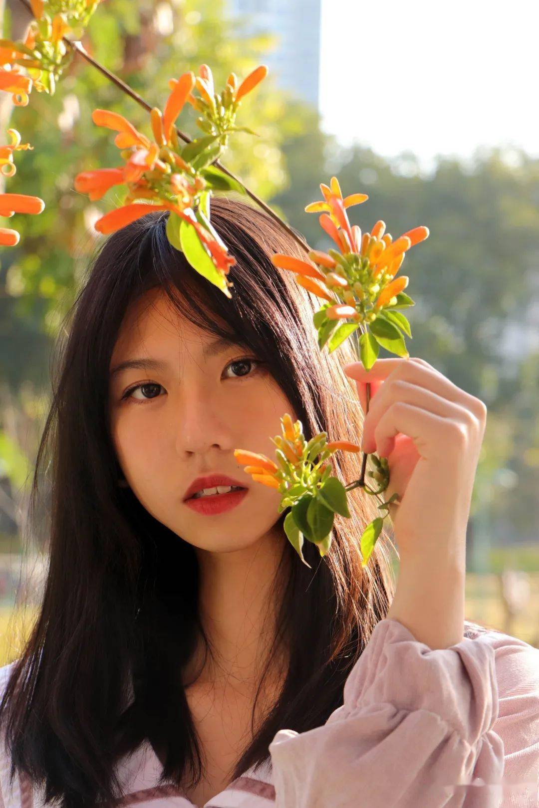 与春日赴约_陈亮棋