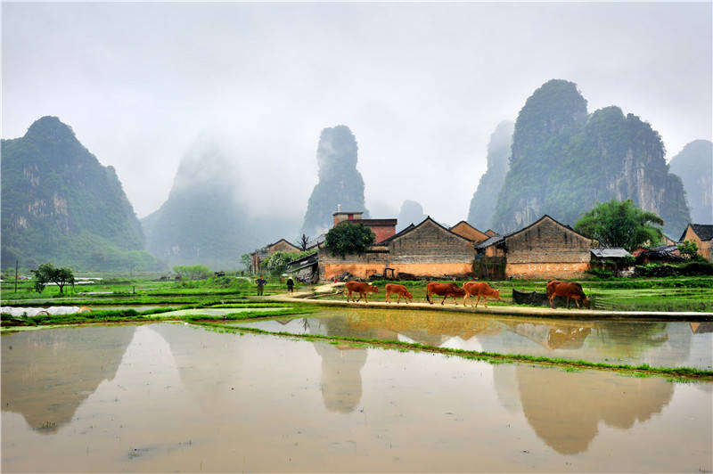 桂林东山村图片