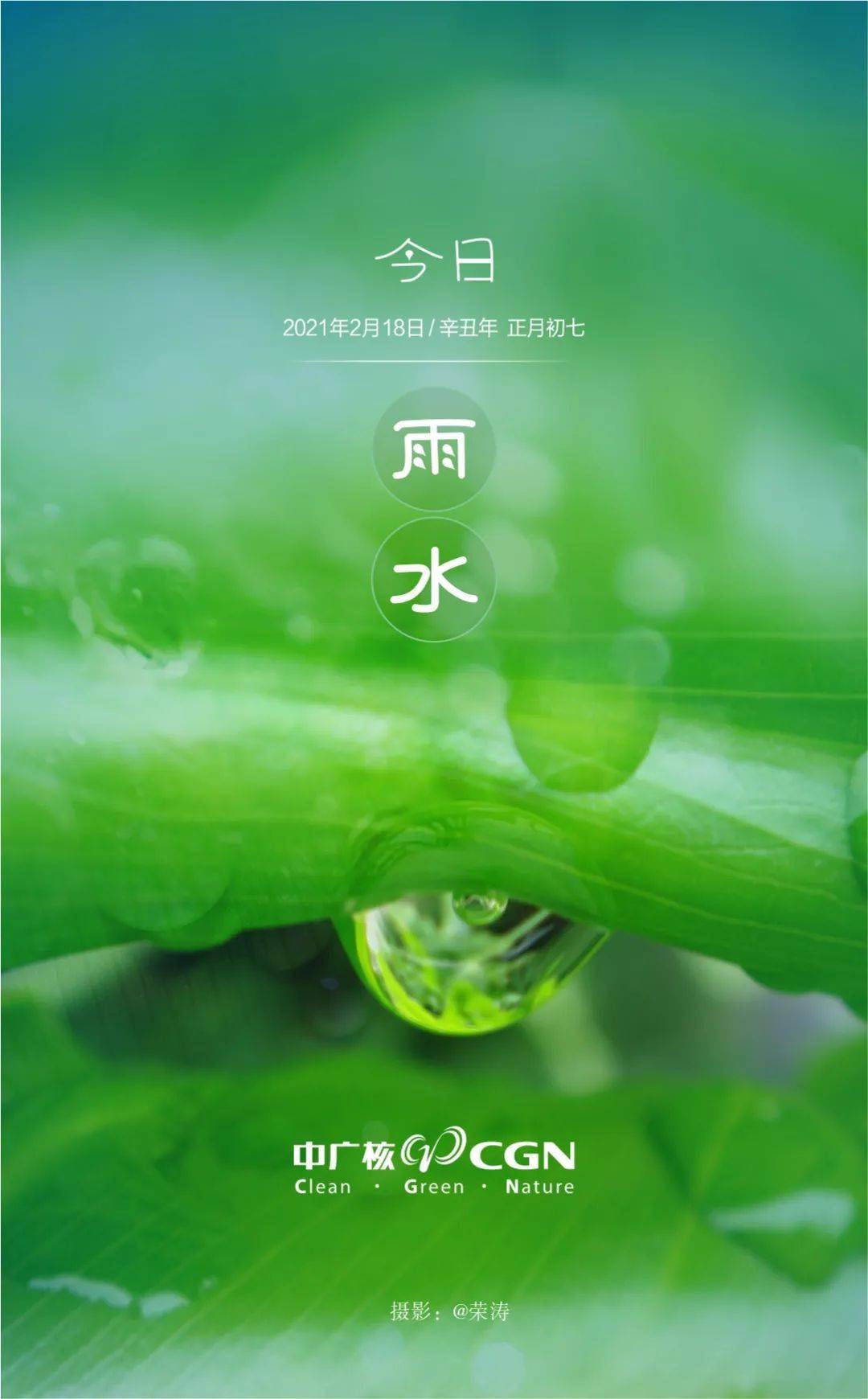 春风携雨至,春归万物生_春雨