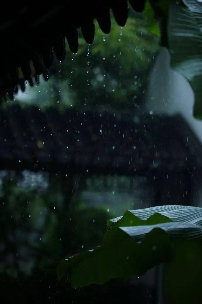 今日雨水此时冰雪消融春回大地望你好事蜂拥而至